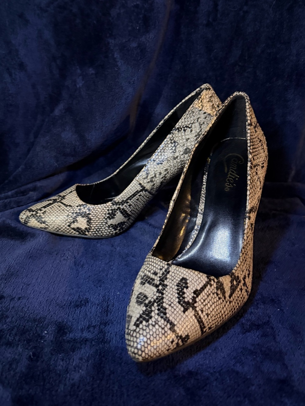 Candie's Snake-Print Pointed Toe Pumps in Beige and Black snake print